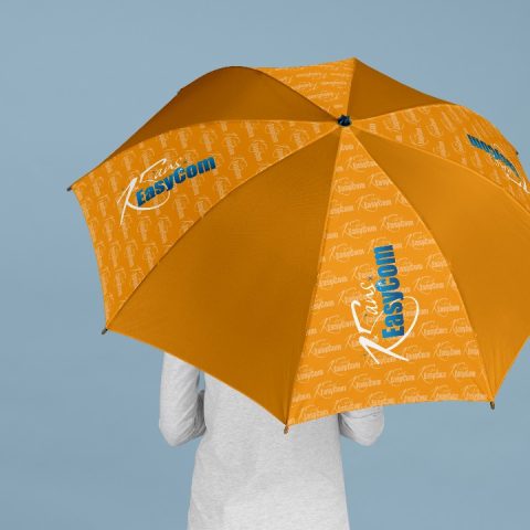 Parapluie<br> <em></em>